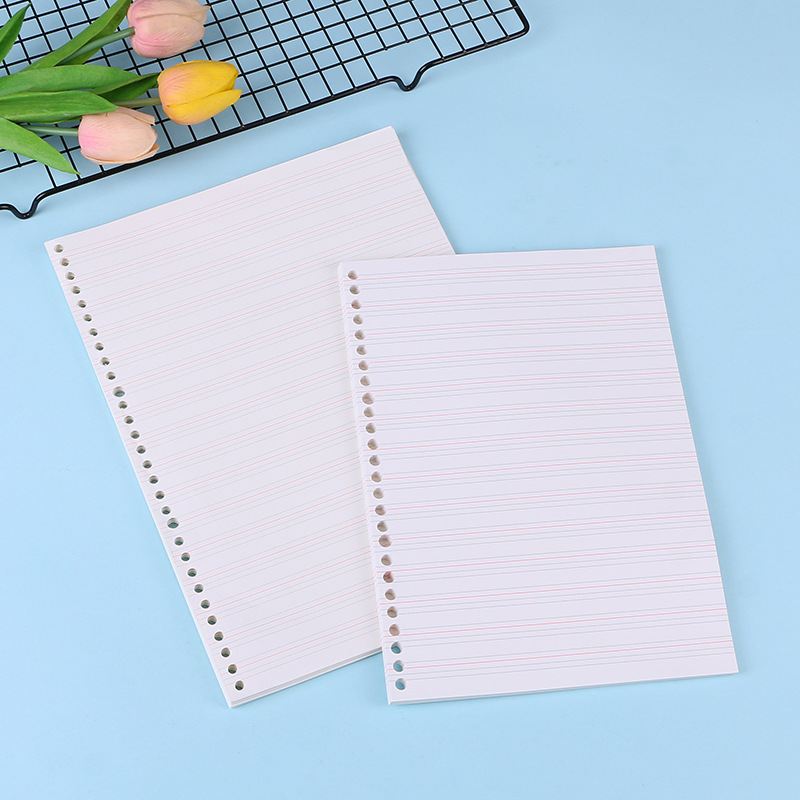 A4 A5 B5 notatnik dziennik śre – Notebook Dotted A5 recenzja i cena